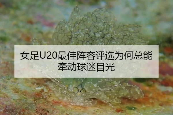 女足U20最佳阵容评选为何总能牵动球迷目光